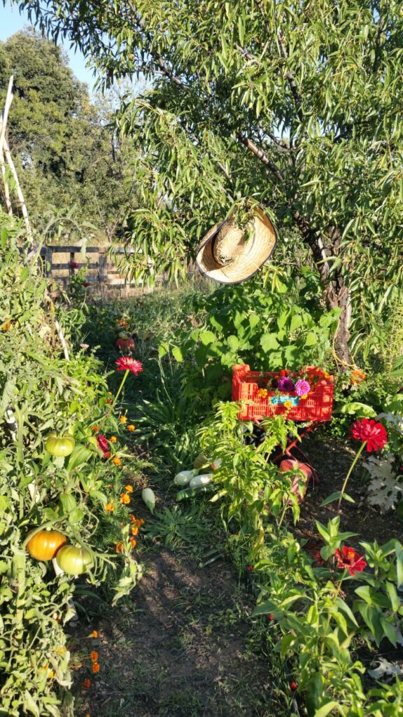Huerto - Zaida García Yoga