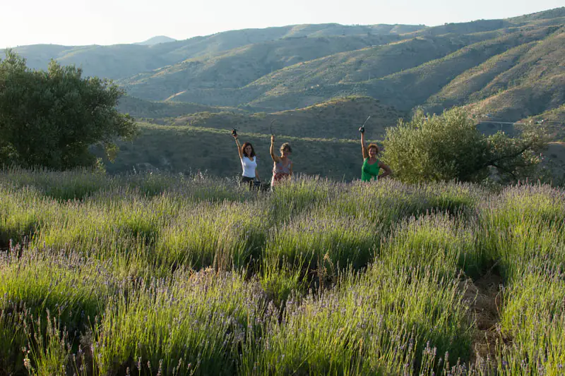 Aceite esencial de lavanda - Zaida Garcia